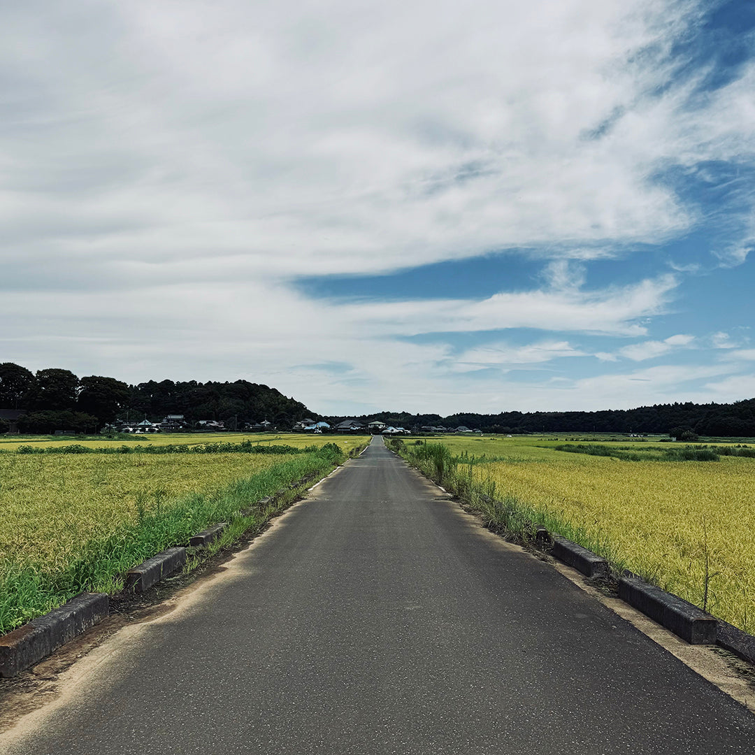 大切なお知らせ 〜新ブランド ZRIGS 立ち上げについて〜